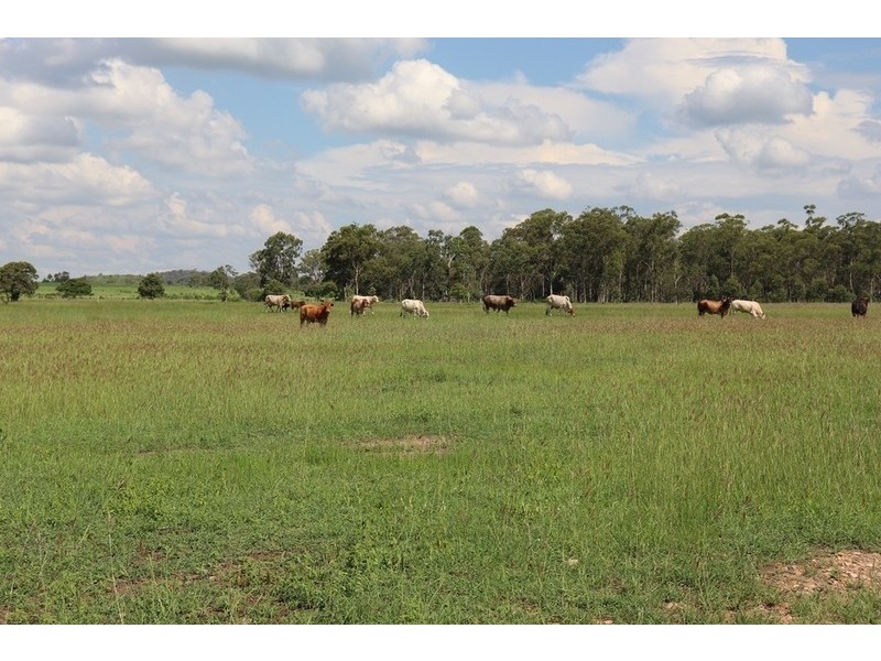 119 Dunnetts Road, Bracewell QLD 4695