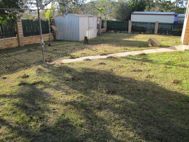 1/38 Brown Street, Calliope QLD 4680