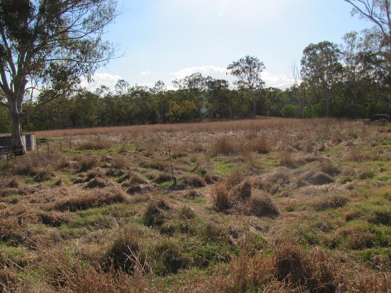 12 Shilling Land, Calliope QLD 4680