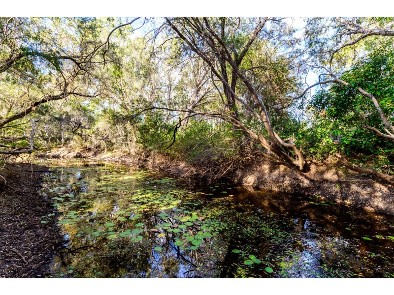 389 Taragoola Road, Calliope QLD 4680