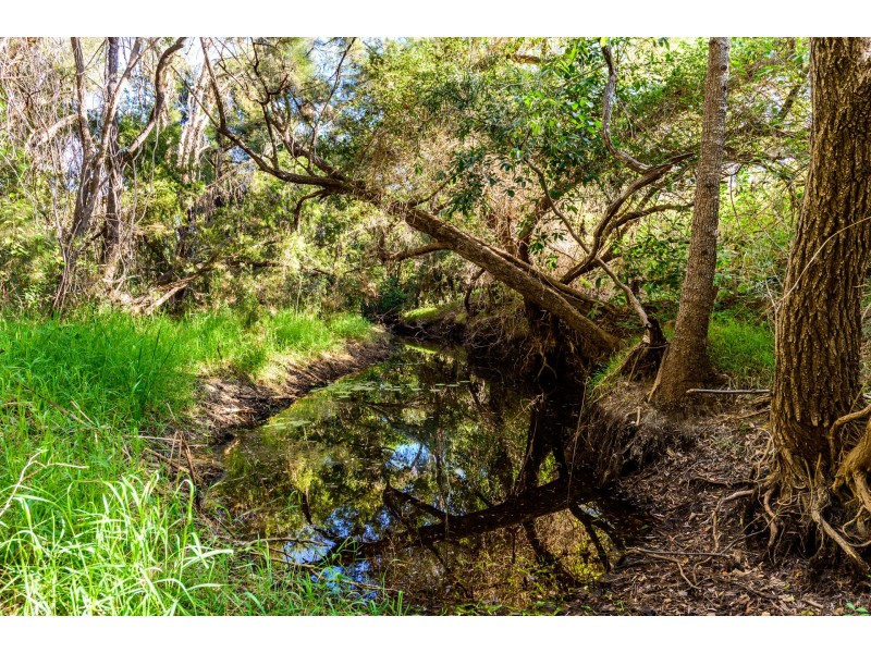 389 Taragoola Road, Calliope QLD 4680