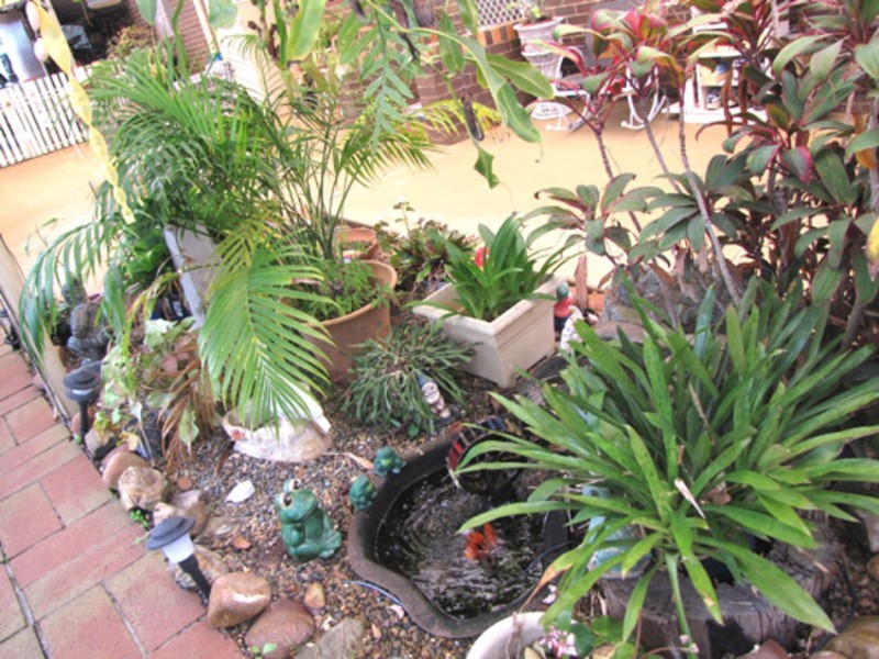 45 Morcom Street, Calliope QLD 4680