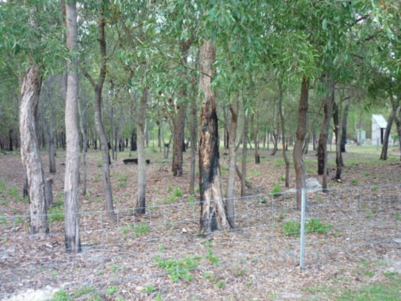 157 Messmate Dr, Miriam Vale QLD 4677