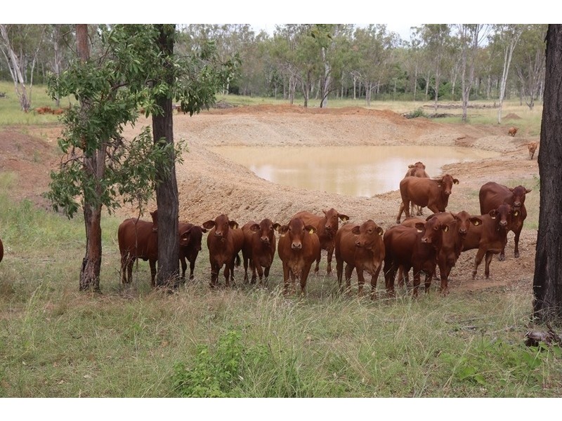 685 Neill Creek Road, Wooderson QLD 4680