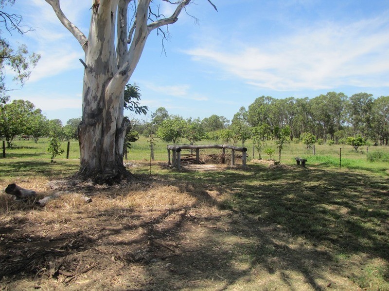 350 Gladstone Monto Road, Calliope QLD 4680