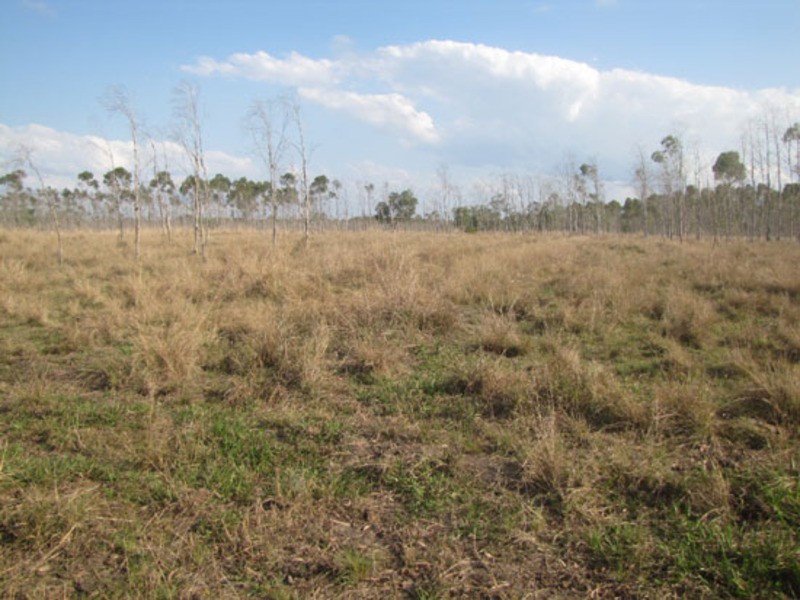 Bororen QLD 4678