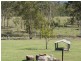 245 Wildman Road, Iveragh QLD 4680