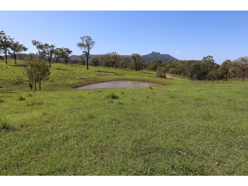 2 Goodman Road, Mount Larcom QLD 4695