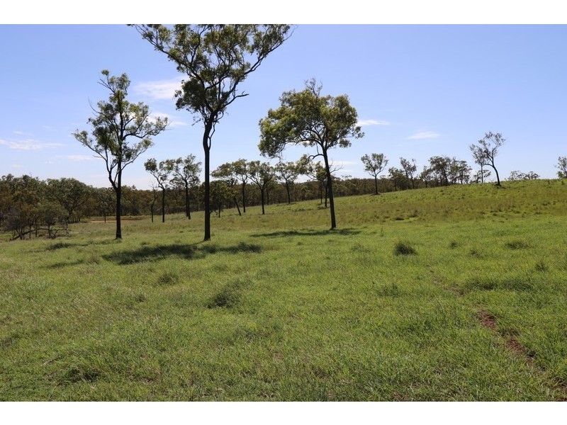2 Goodman Road, Mount Larcom QLD 4695
