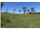 2 Goodman Road, Mount Larcom QLD 4695
