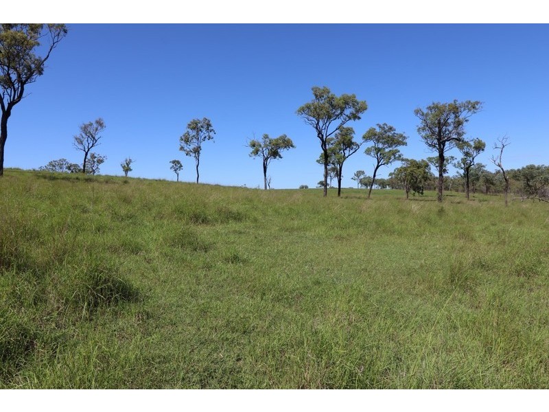 2 Goodman Road, Mount Larcom QLD 4695