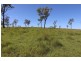 2 Goodman Road, Mount Larcom QLD 4695