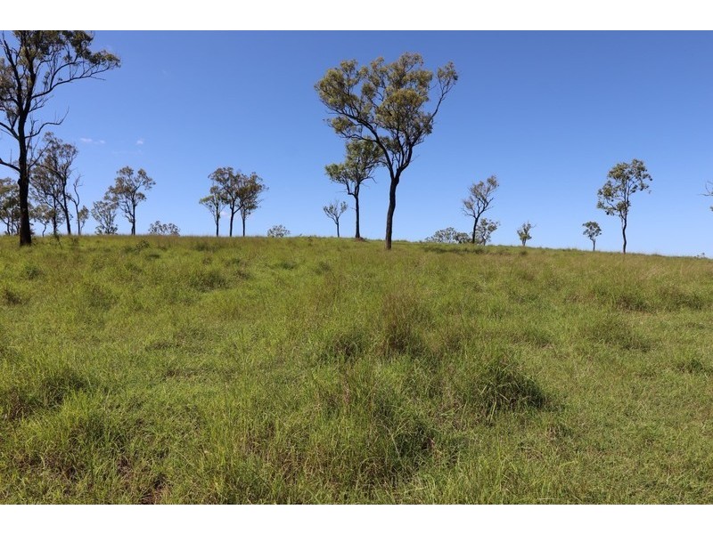 2 Goodman Road, Mount Larcom QLD 4695