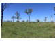 2 Goodman Road, Mount Larcom QLD 4695