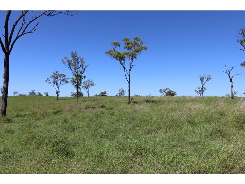 2 Goodman Road, Mount Larcom QLD 4695
