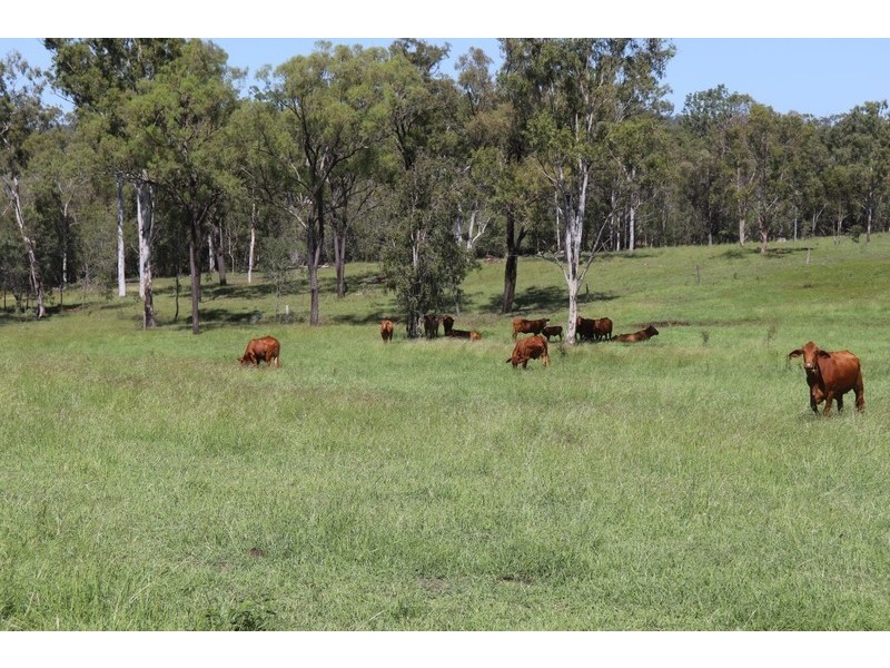 2 Goodman Road, Mount Larcom QLD 4695