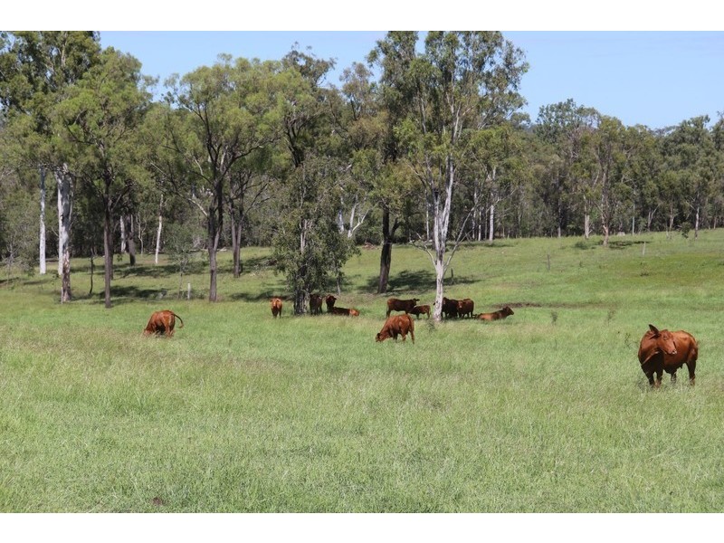 2 Goodman Road, Mount Larcom QLD 4695