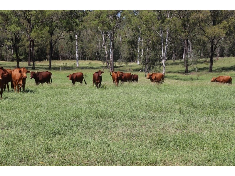 2 Goodman Road, Mount Larcom QLD 4695