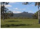 2 Goodman Road, Mount Larcom QLD 4695