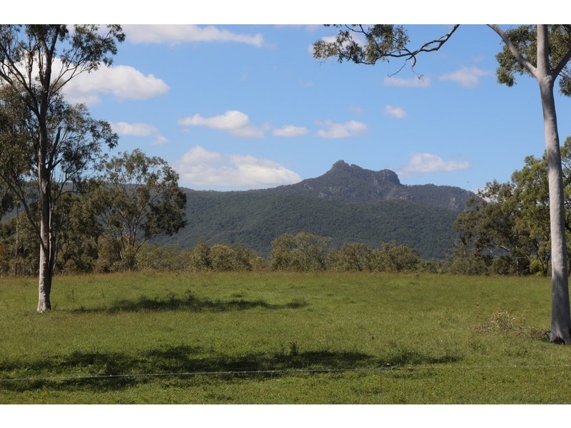 2 Goodman Road, Mount Larcom QLD 4695