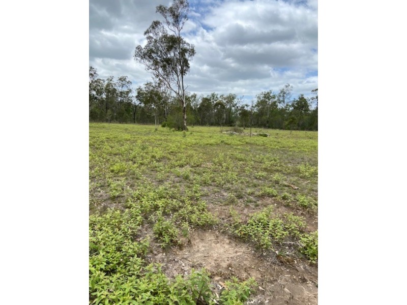 1003 Gentle Annie Road, Raglan QLD 4697