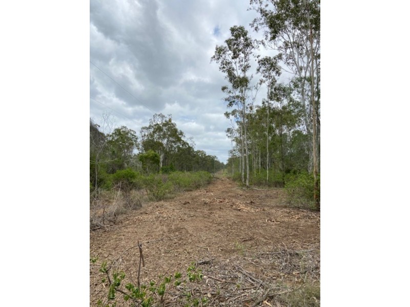 1003 Gentle Annie Road, Raglan QLD 4697