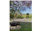 4141 Dawson Highway, Wooderson QLD 4680