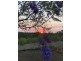 4141 Dawson Highway, Wooderson QLD 4680