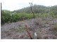 4141 Dawson Highway, Wooderson QLD 4680