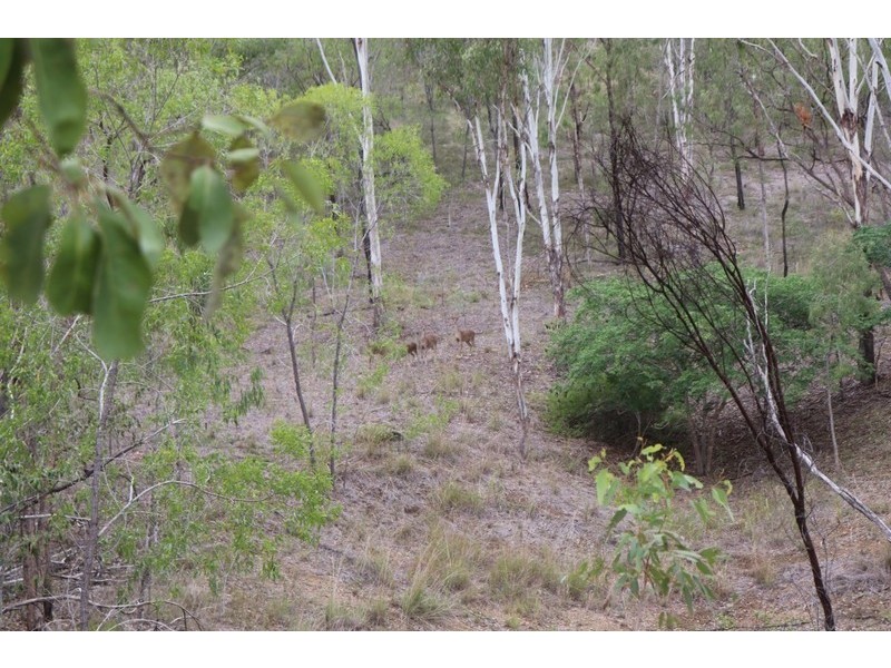 4141 Dawson Highway, Wooderson QLD 4680