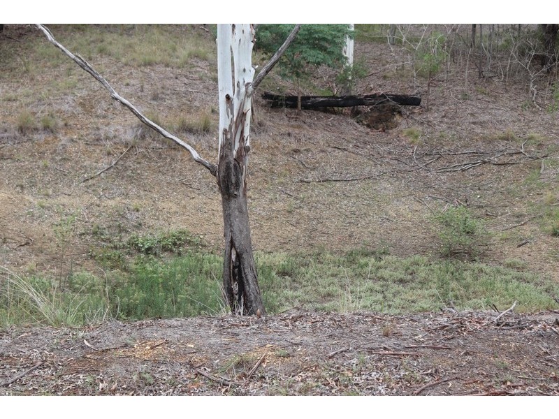4141 Dawson Highway, Wooderson QLD 4680