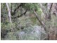 4141 Dawson Highway, Wooderson QLD 4680