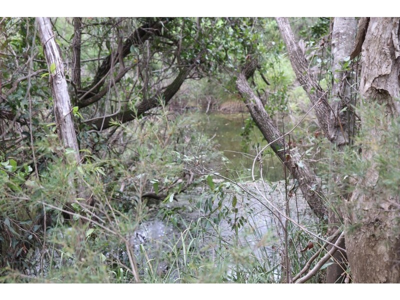 4141 Dawson Highway, Wooderson QLD 4680