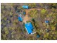 10a Schilling Lane, Calliope QLD 4680