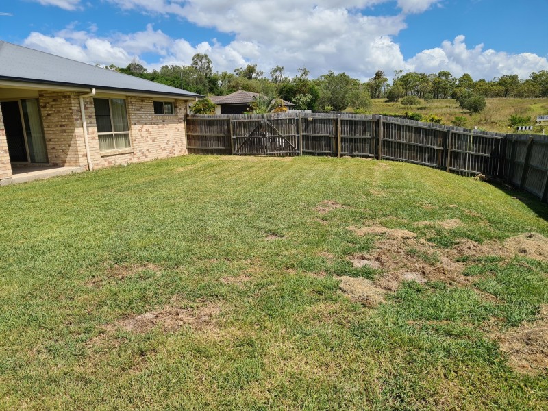 1 Sybil Court, Calliope QLD 4680