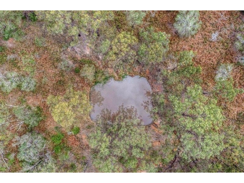 2590 Dawson Highway, Calliope QLD 4680