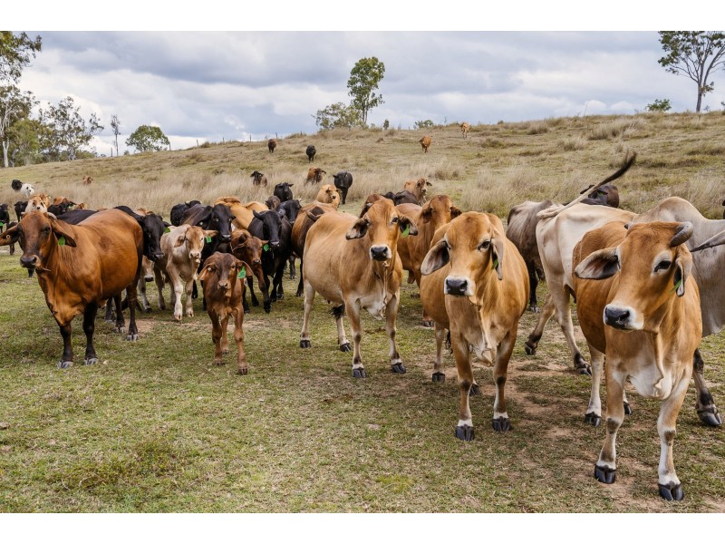 737 Deep Creek Road, Wooderson QLD 4680