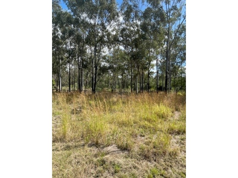 203 Darts Creek Road, Darts Creek QLD 4695