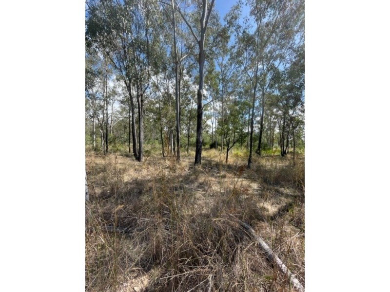 203 Darts Creek Road, Darts Creek QLD 4695