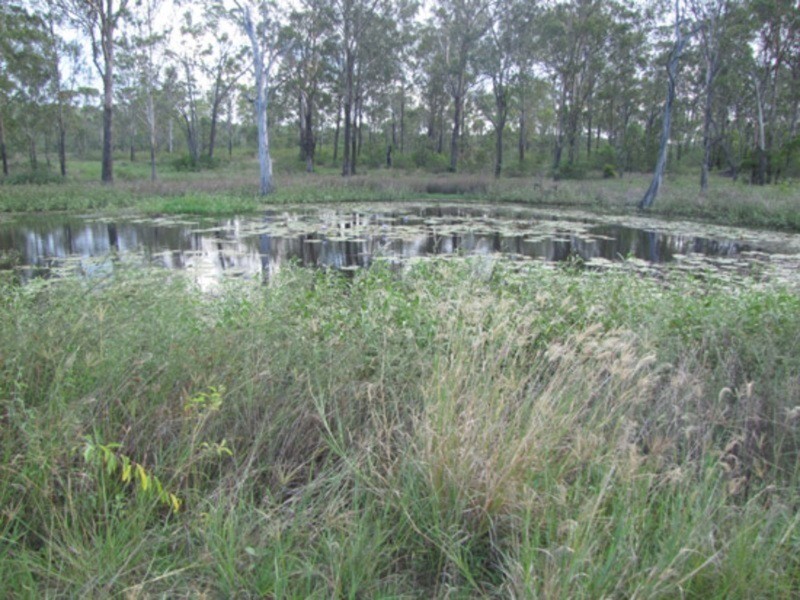 53821 Bruce Highway, Mount Larcom QLD 4695