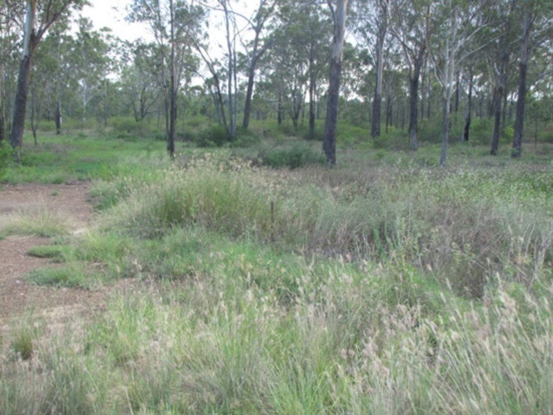 53821 Bruce Highway, Mount Larcom QLD 4695