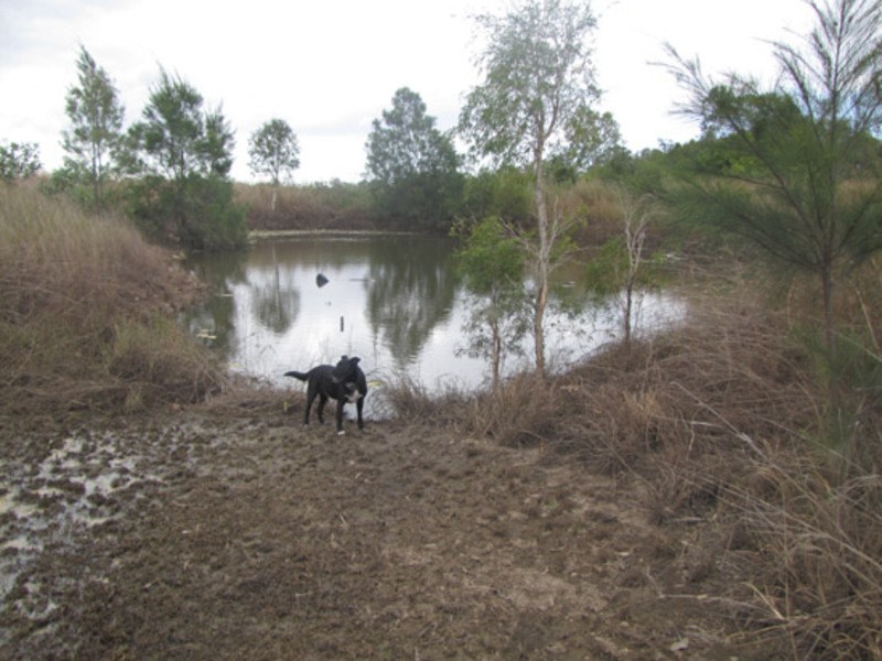 470 Monto Road, Calliope QLD 4680