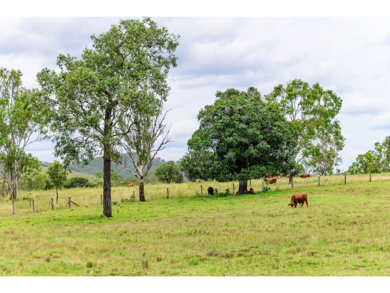 357 Marsh Road, Wooderson QLD 4680