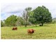 357 Marsh Road, Wooderson QLD 4680