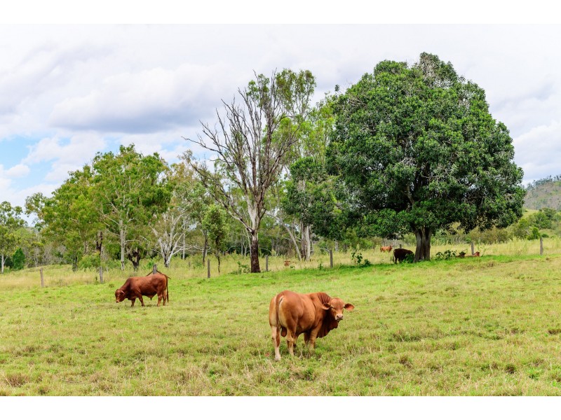 357 Marsh Road, Wooderson QLD 4680