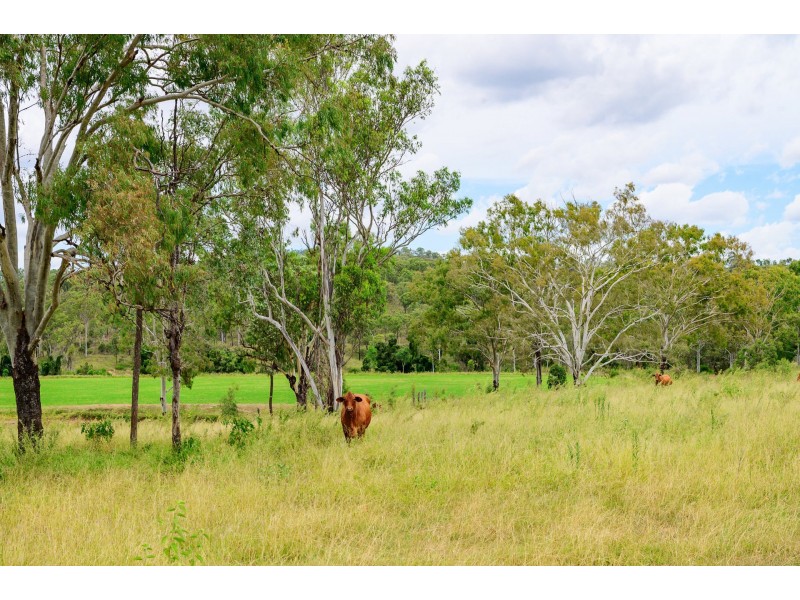 357 Marsh Road, Wooderson QLD 4680