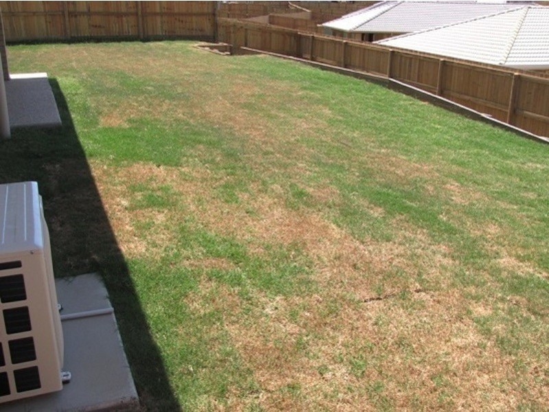 24 Woodward Avenue, Calliope QLD 4680