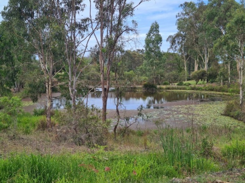 9 Iris Road, Kirkwood QLD 4680