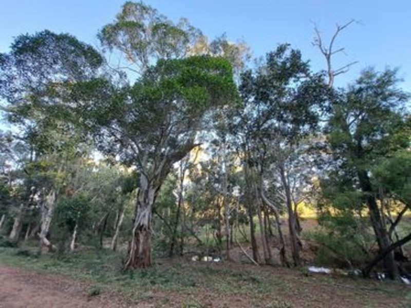506 Deep Creek Road, Wooderson QLD 4680