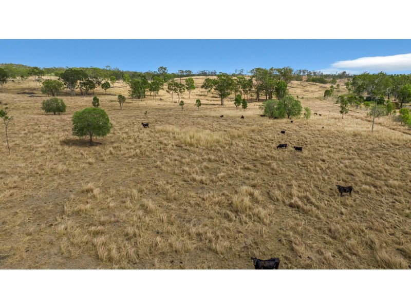 50 Grainger Road, Calliope QLD 4680